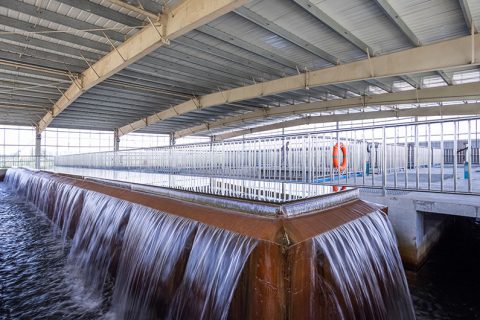 怎么保养多功效微型过滤机？？？？？？